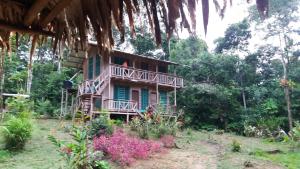 leticia