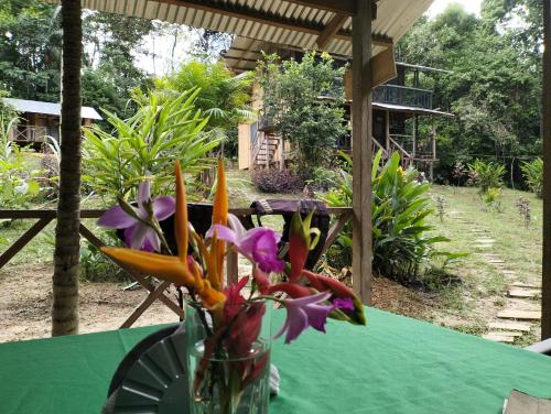 cabanas ecologicas muu