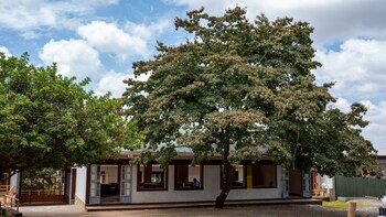 wadi gardens and resort