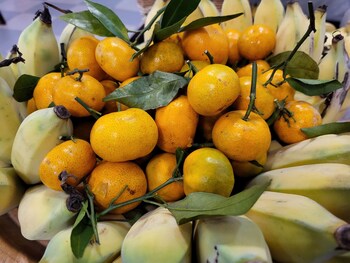 sun chakra boutique hotel