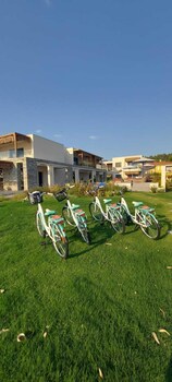 amyntas seafront hotel