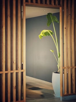 hyatt place vijayawada