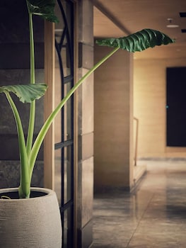 hyatt place vijayawada