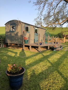 the peacock shepherds hut at hafoty boeth