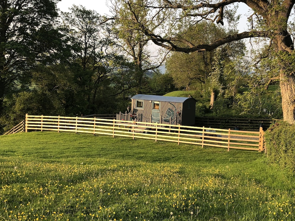 the peacock shepherds hut at hafoty boeth