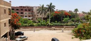 rayan pyramids view