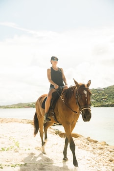 the aerial bvi all inclusive
