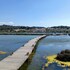 la lagune