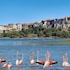 la lagune