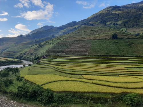mu cang chai