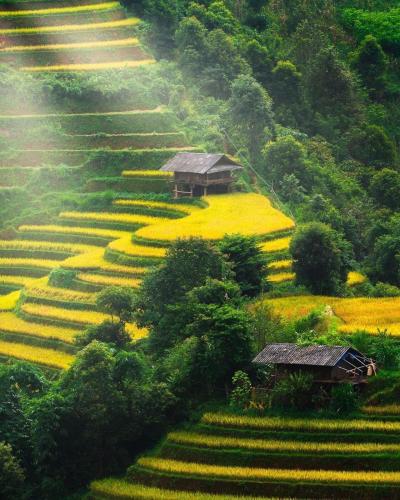 mu cang chai