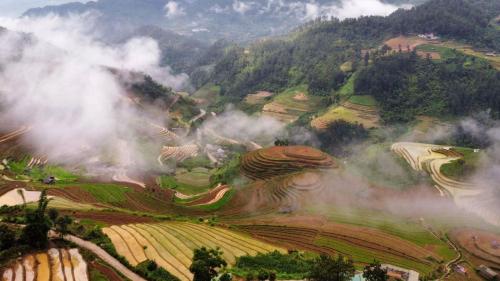 mu cang chai