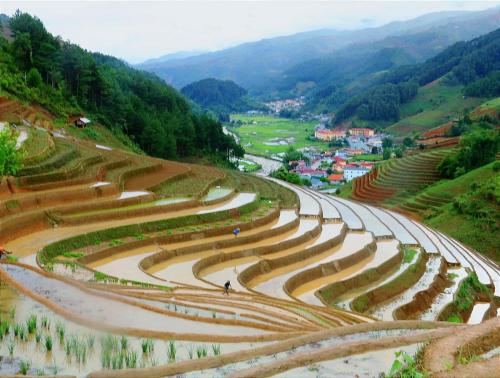 mu cang chai