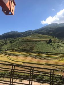 mu cang chai