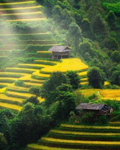 mu cang chai
