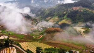 mu cang chai