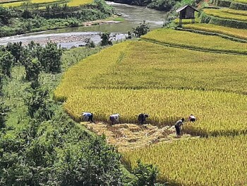 mu cang chai