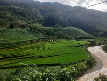 mu cang chai