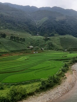 mu cang chai