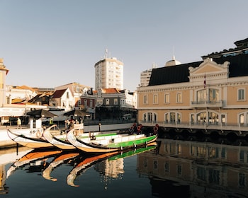 ms collection aveiro palacete de valdemouro