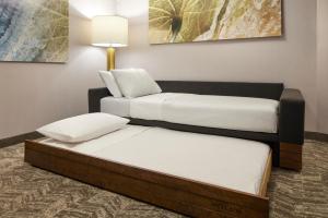 springhill suites by marriott frederica