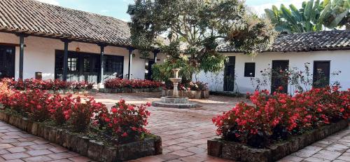 hacienda el novillero
