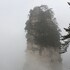 zhangjiajie