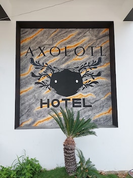 hotel axolotl