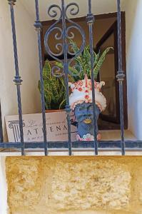 la terrazza di athena