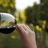 is cheas wine farm boutique hotel