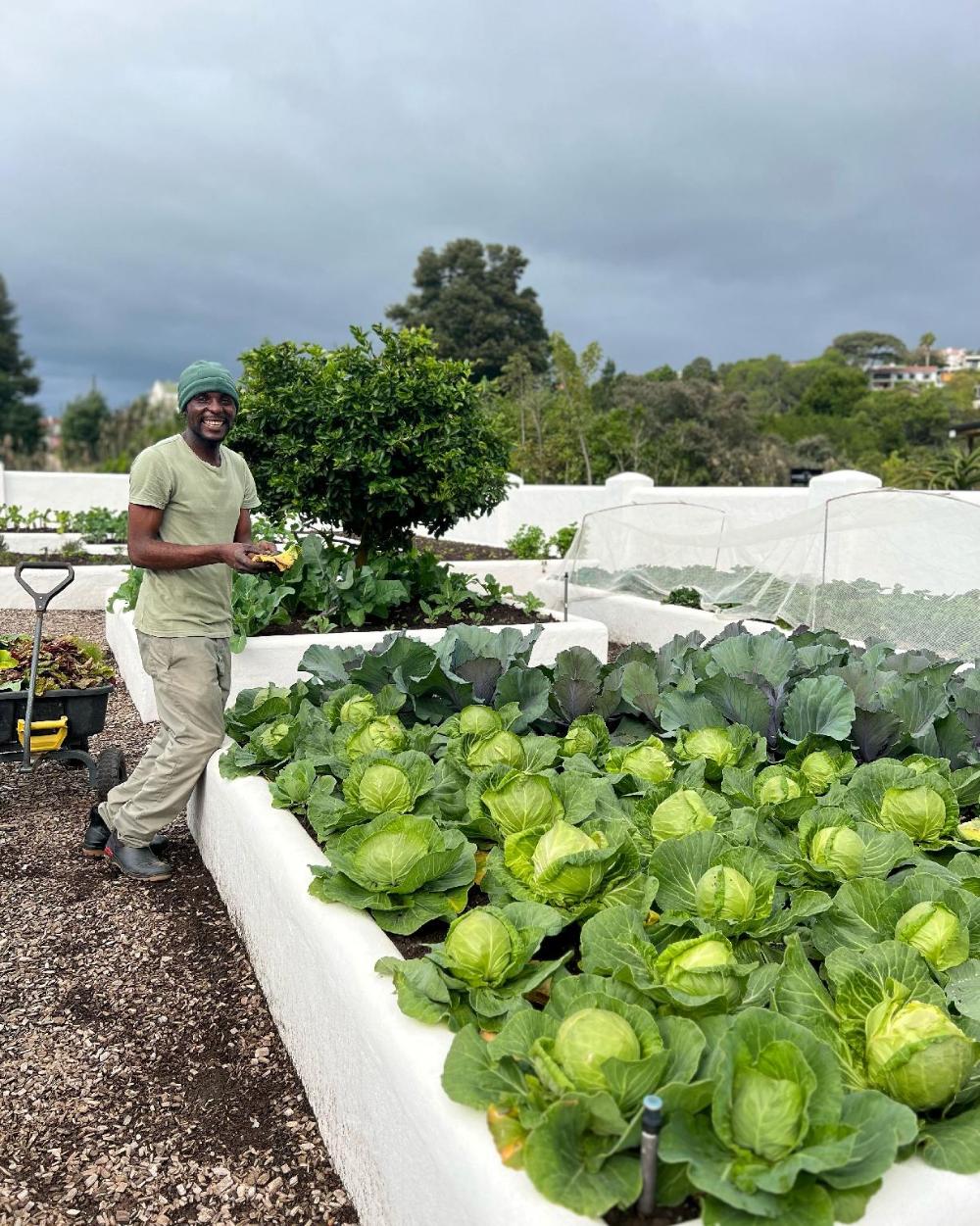 barringtons small hotel