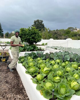 barringtons small hotel