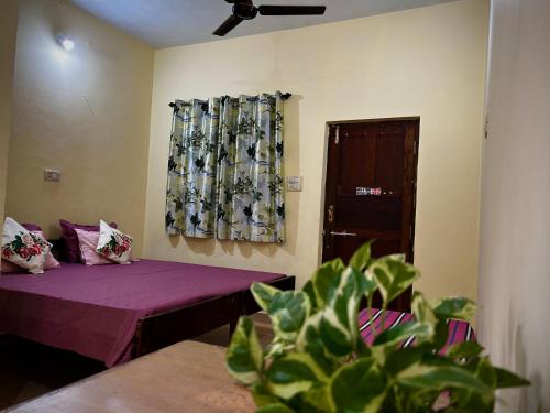 anjunapalms guesthouse