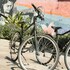 la gruta co living