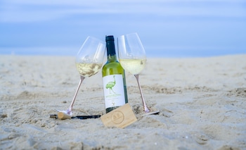 aparthotel green concrete