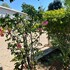 beulah court vineyard guest house