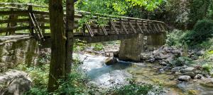 orsomarso