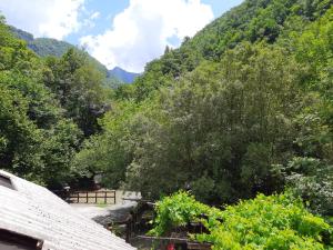 orsomarso