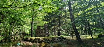orsomarso