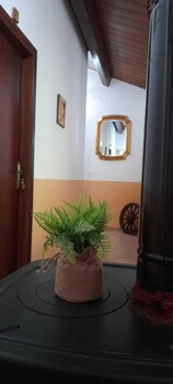 orsomarso