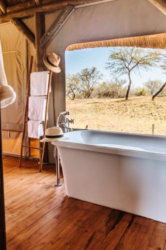 jbay zebra lodge