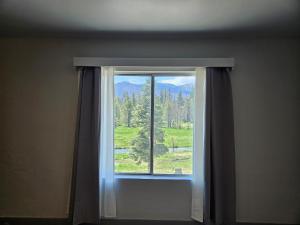 the black forest lodge