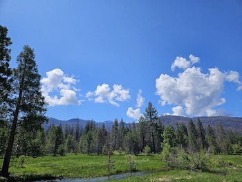 The Black Forest Lodge,Mineral>>Mill Creek,2 star