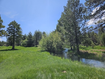 the black forest lodge
