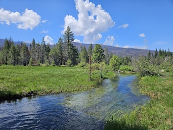 the black forest lodge