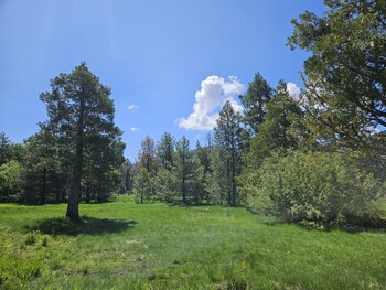 the black forest lodge