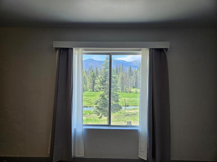 the black forest lodge