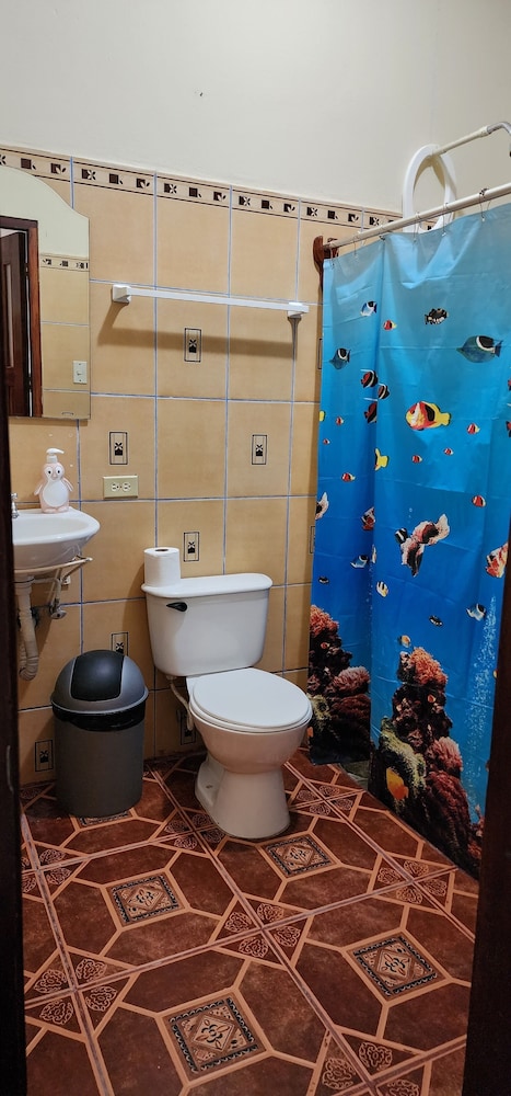 hotel nicaraus ometepe