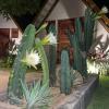 sao miguel do gostoso