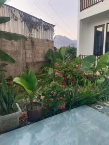 vang vieng champa hotel